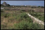 Les champs abandonnées d'Ouessant 